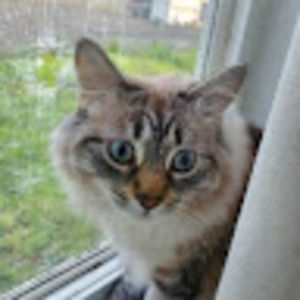 Meet your Posher, Fedora